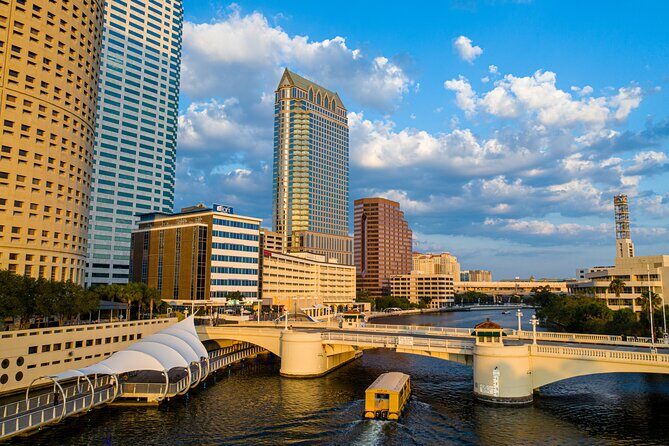 Tampa Pirate Water Taxi Tour - Who Should Consider This Tour?