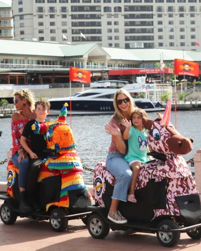 Tampa: Riverwalk and Downtown Tour on a Rydable - Frequently Asked Questions