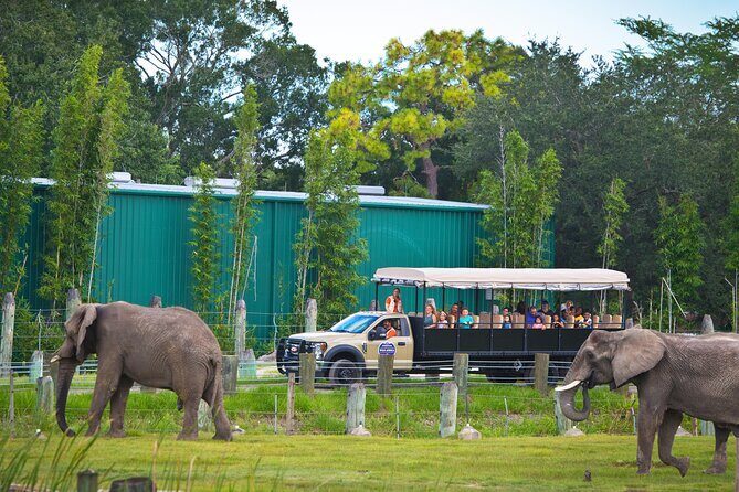 Tampa's ZooQuarium Admission - Who Should Consider This Tour?
