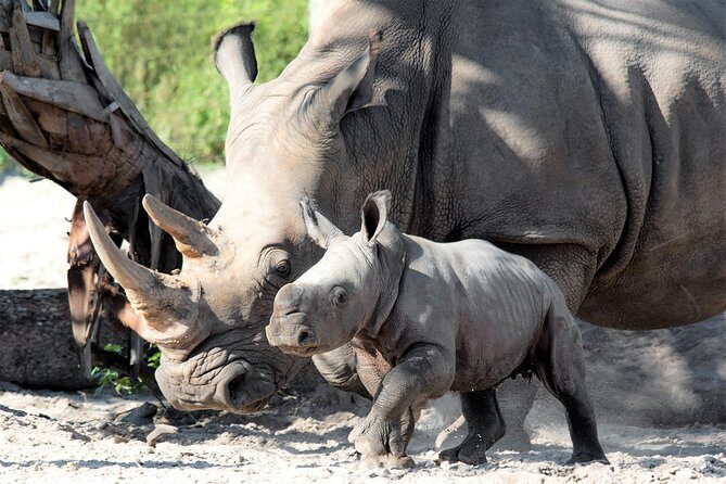 Tampa's ZooQuarium Admission - FAQ