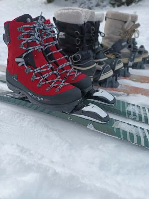 Tampere: Cross-Country Ski Rental at Kauppi Sports Park - Guided Options and Technique Coaching