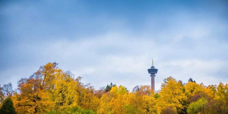 Tampere: Towers of Tampere Guided Tour - Who Should Consider This Tour?