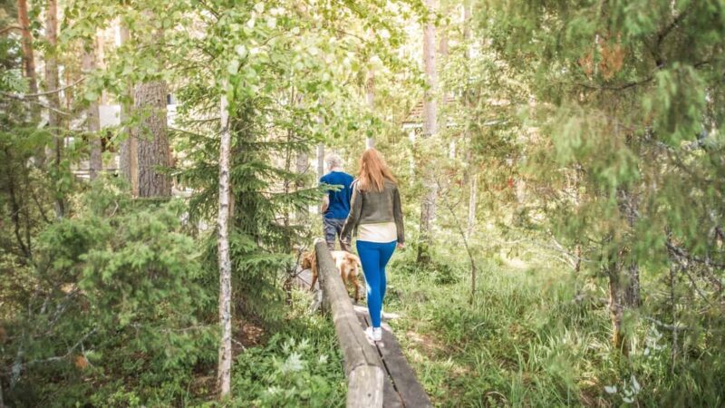 Tampere: Traditional Smoke Sauna & Lake Swim in Niemi-Kapee - Tampere: Traditional Smoke Sauna & Lake Swim in Niemi-Kapee