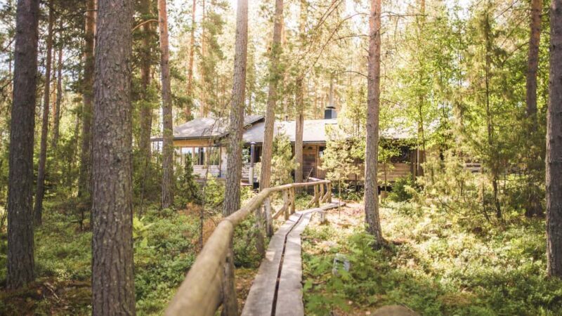 Tampere: Traditional Smoke Sauna & Lake Swim in Niemi-Kapee - Key Points