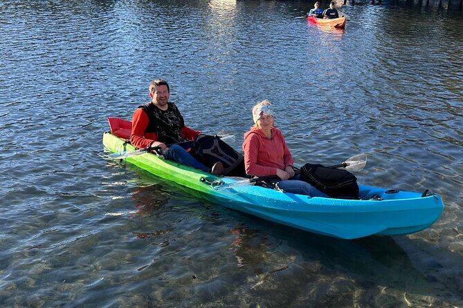 Tandem Kayak Rental for Kings Bay Three Sisters Springs - What to Expect on Your Paddling Day