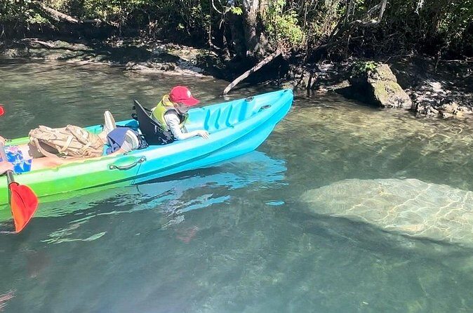 Tandem Kayak Rental for Kings Bay Three Sisters Springs - The Overall Picture