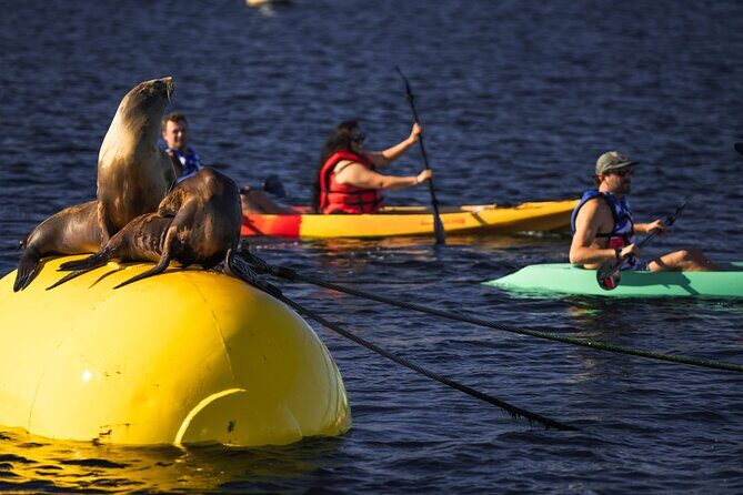 Tandem Kayak Rentals in Mission Bay - An Easygoing Way to Enjoy Mission Bay’s Calm Waters