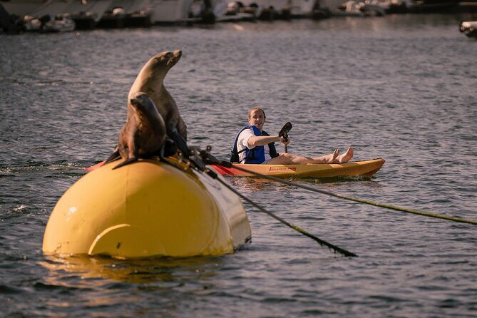 Tandem Kayak Rentals in Mission Bay - Reviews and Real Experiences