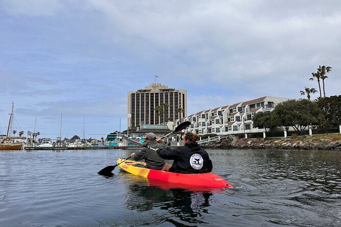 Tandem Kayak Rentals in Mission Bay - Who Should Consider This Experience?