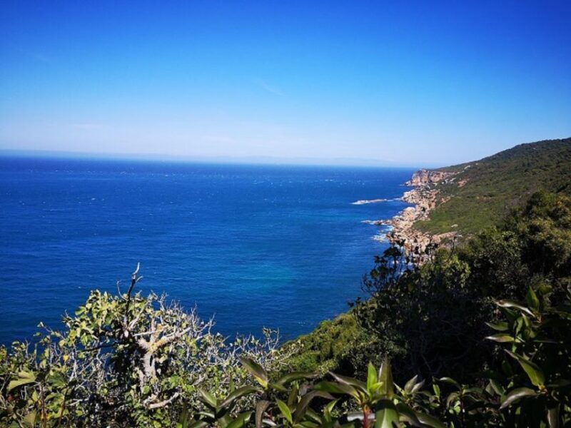 Tangier: 2-Day Trip From Tarifa - The Second Day: To Explore or Not?