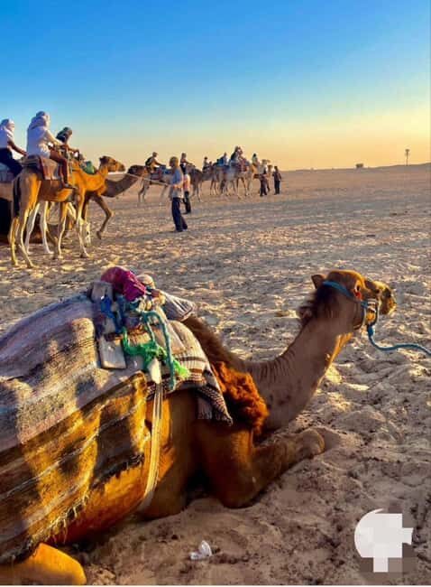 Tangier: Day Trip from Tarifa To Tanger { camel ride - Frequently Asked Questions (FAQs)