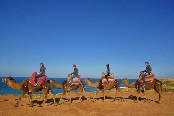 Tangier in Morocco private tour from Seville for up to 8 persons - The Itinerary: What to Expect and What It Means for You