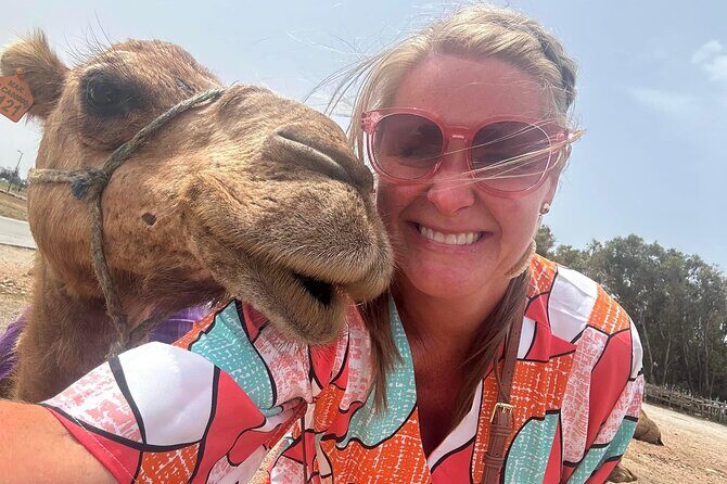Tangier Luxury Private Day Tour From Tarifa including Camel ride - The Camel Ride and Final Highlights