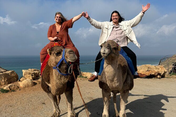 Tangier Luxury Private Day Tour From Tarifa including Camel ride - Is the Price Worth It?