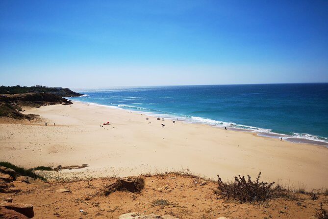 Tangier (Morocco) Day Trip from Seville with Local Guide - Who Should Consider This Tour?