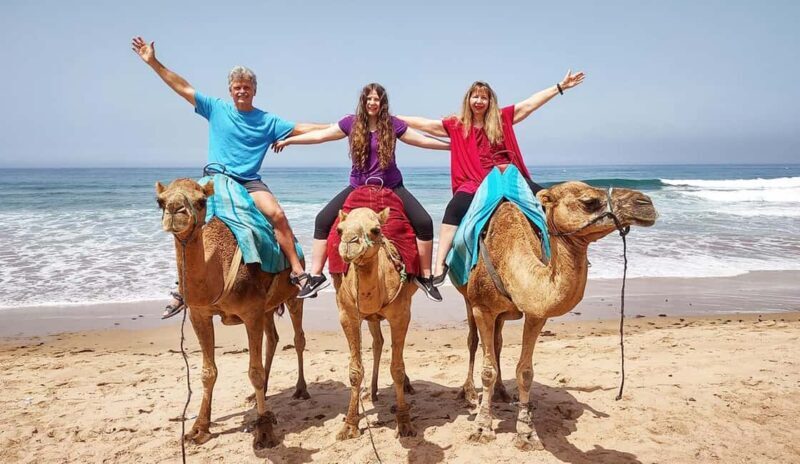 Tangier Private Half-Day Tour + Camel Ride + Add-on: Lunch - A Closer Look at the Tour Experience