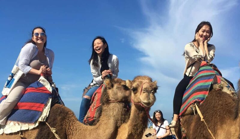 Tangier Private Half-Day Tour + Camel Ride + Add-on: Lunch - Final Thoughts