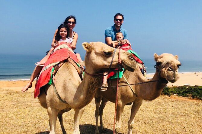 Tangier Private Tour from Malaga or Marbella w/ guide and driver - Who Is This Tour Best For?