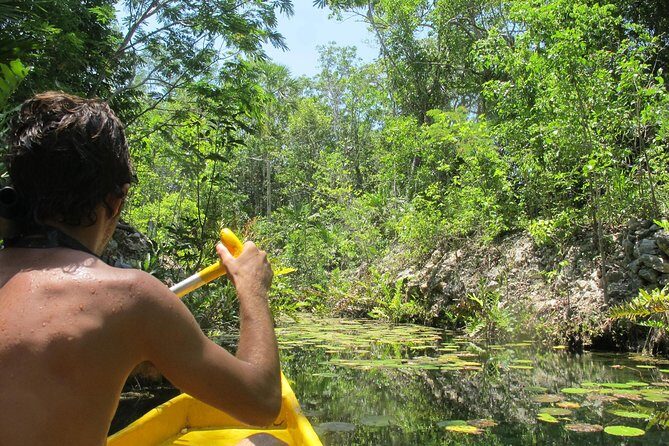 Tankah Park Five Cenotes Adventure Tour from Tulum - The Unique Setting of Tankah Park