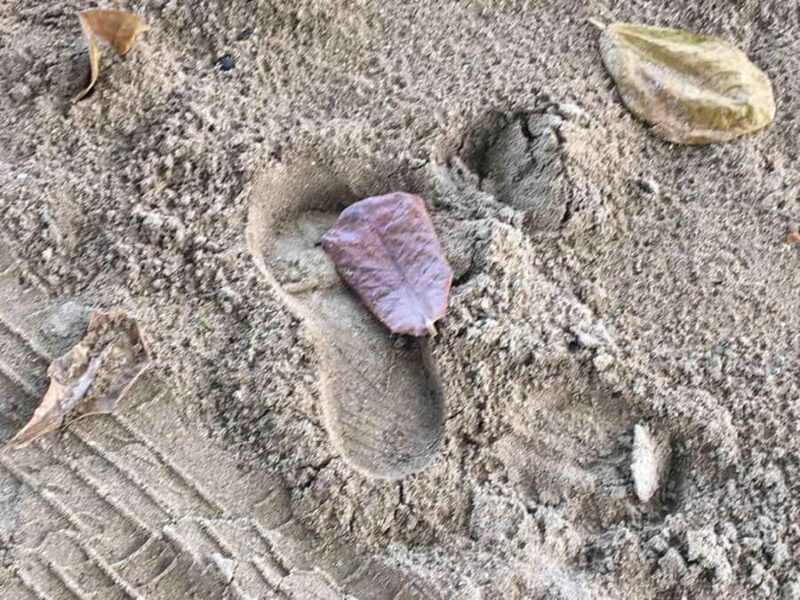 Tanoa Waterfront Hotel to Natadola Beach Round Trip - The Good and the Not-So-Good