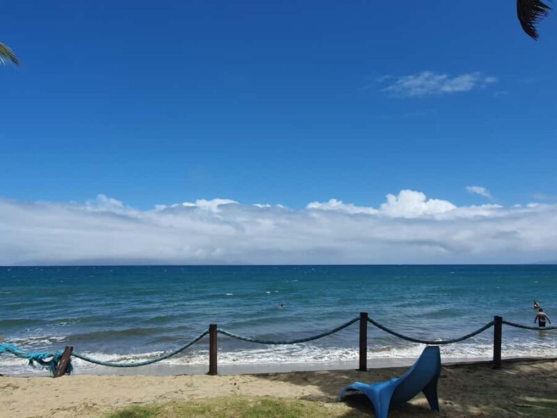 Tanoa Waterfront Hotel to Natadola Beach Round Trip - Who This Tour Is Best For