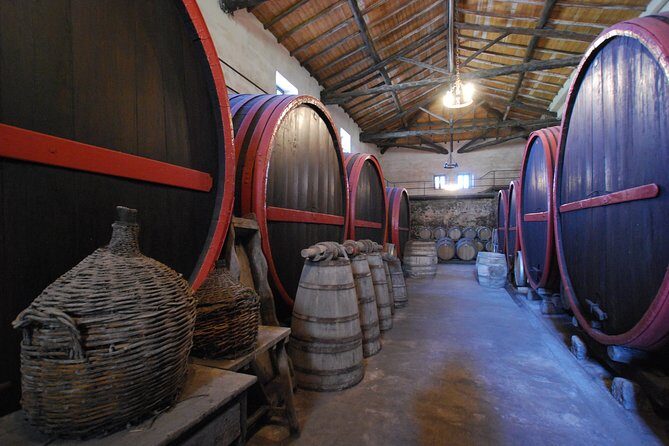 Taormina and Etna with driver Wine experience to ask for - Final Thoughts