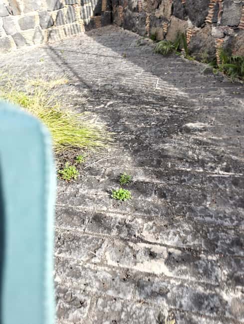 Taormina: Excursion on the Saracen Path - Authentic Feedback from Travelers