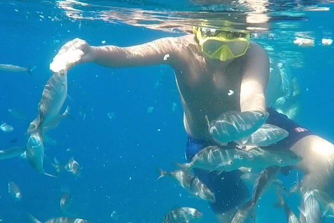 Taormina snorkeling experience - The Practical Details