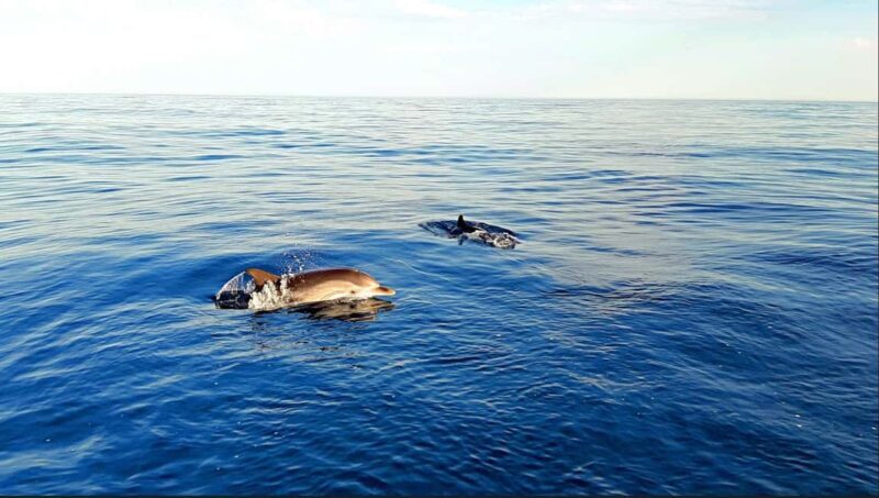 Taormina: Sunset Boat Tour with Aperitif - Who is this tour best for?