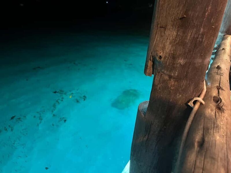 Taormina: unforgettable tour experience - A Closer Look at the Tour