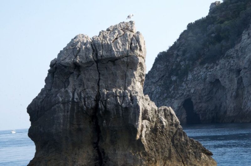 Taormina: White Lotus Tour - A Deep Dive into the White Lotus Experience