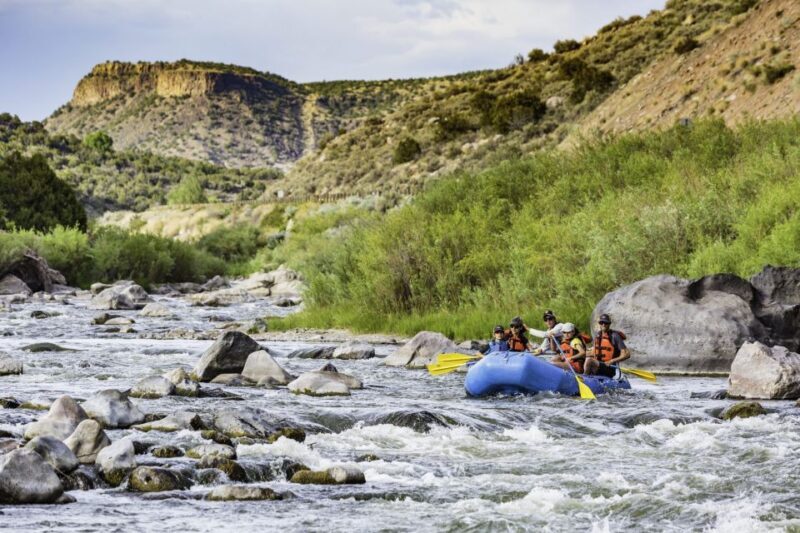 Taos: Rio Grande Racecourse Whitewater Adventure - Authentic Feedback and What It Means for You