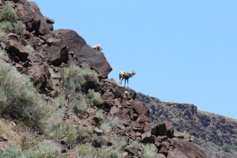 Taos/Santa Fe: Rio Grande Class IV "Taos Box" Rafting - The Details of the Itinerary