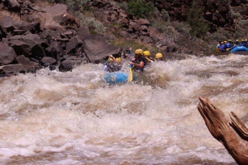 Taos/Santa Fe: Rio Grande Class IV "Taos Box" Rafting - The Sum Up