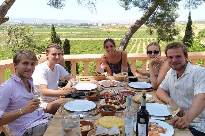 Tapas in the vineyards - Who Is This Tour Best For?