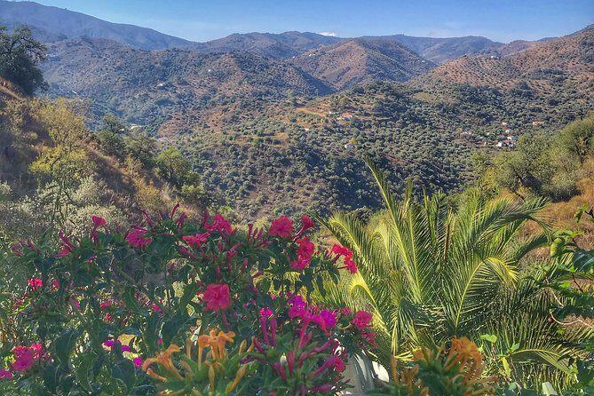 Tapas & Sherry an Andalucian Gourmet Experience. - FAQs