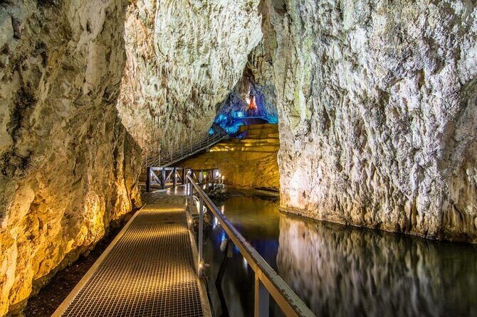 Tara National Park, Mokra Gora and Zlatibor - Who Is This Tour Best Suited For?