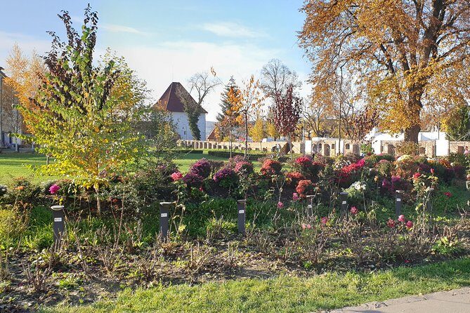 Targu Mures 3 hours walking tour - FAQ