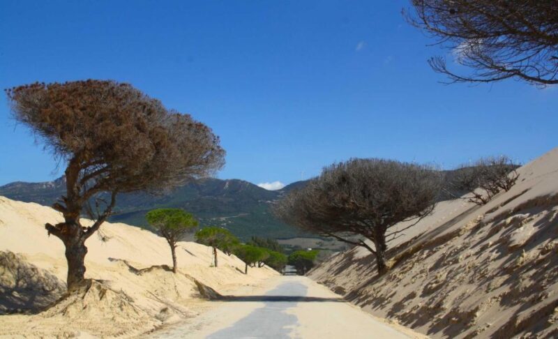 Tarifa: Ebike Rental Ruta del Estrecho - What to Expect from the Ruta del Estrecho E-Bike Rental