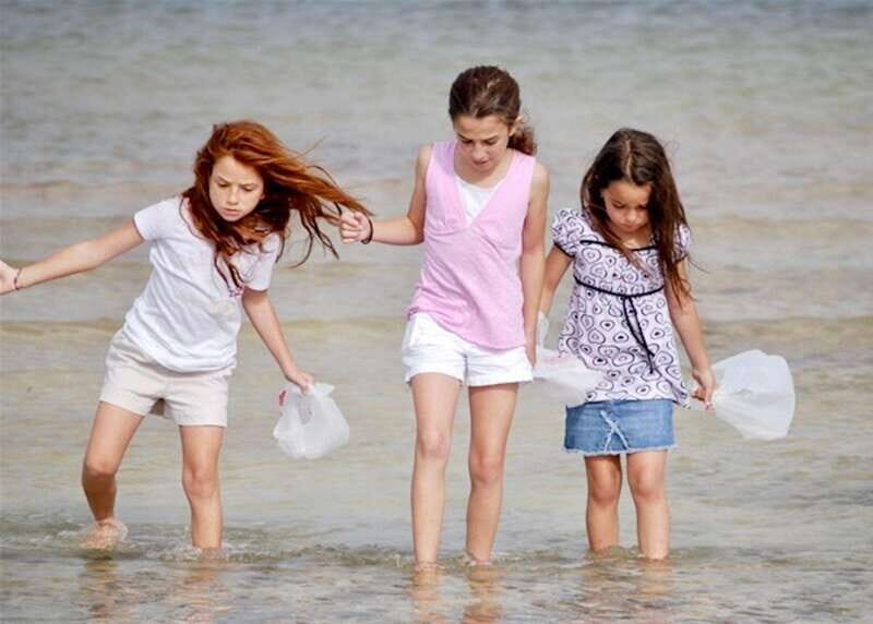 Tarpon Springs: Evening Dolphin Cruise - Real Traveler Insights