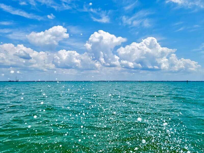 Tarpon Springs: Evening Dolphin Cruise - Who Will Love This Tour?