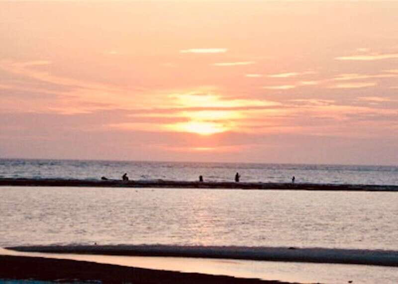 Tarpon Springs: Evening Dolphin Cruise - Final Thoughts