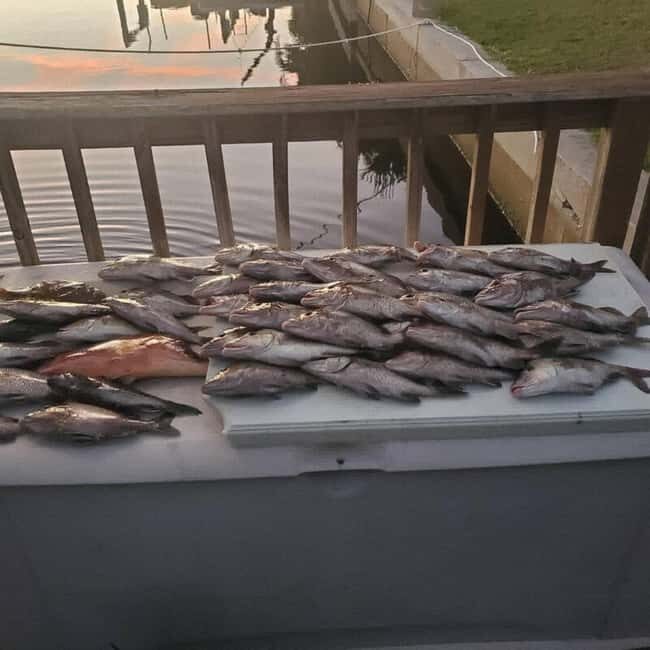 Tarpon Springs: Private Guided Gulf of Mexico Fishing Tour - The Experience for Different Travelers