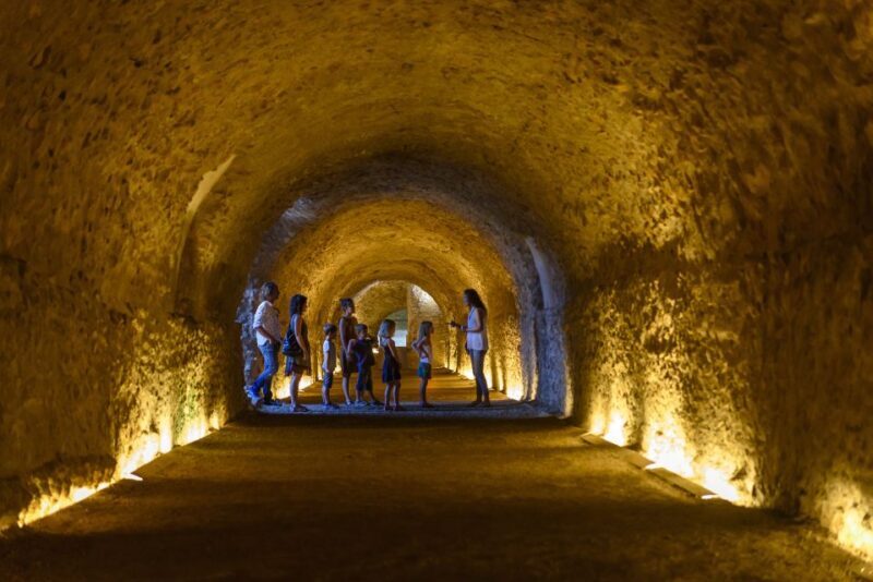 Tarragona: Roman Heritage Guided Walking Tour - Practical Tips for Your Tour