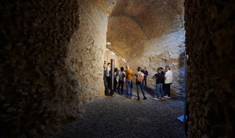 Tarragona: Roman Heritage Guided Walking Tour - Who Should Consider This Tour?