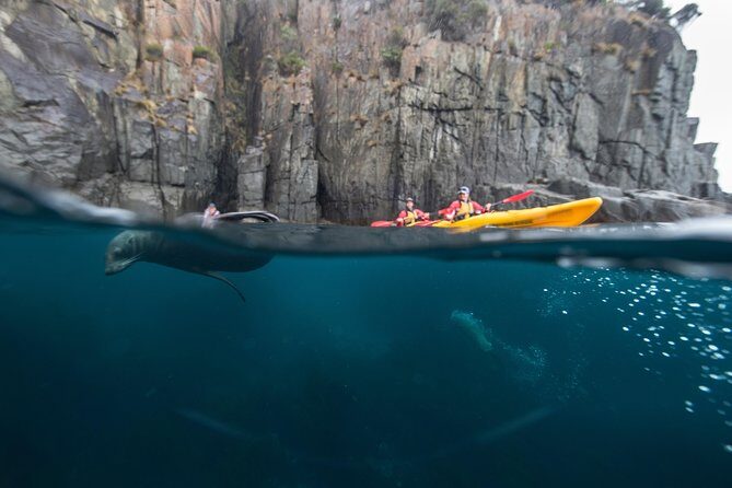 Tasman Peninsula full day kayaking tour - A Closer Look at the Tour Itinerary and Experience