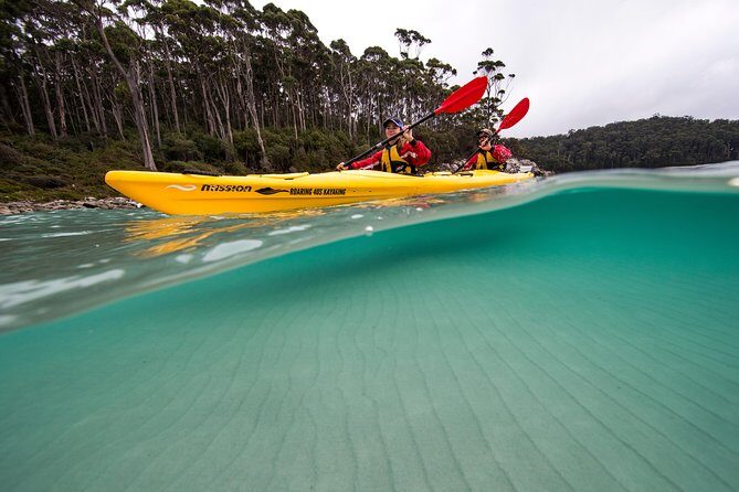 Tasman Peninsula full day kayaking tour - Physicality and Suitability