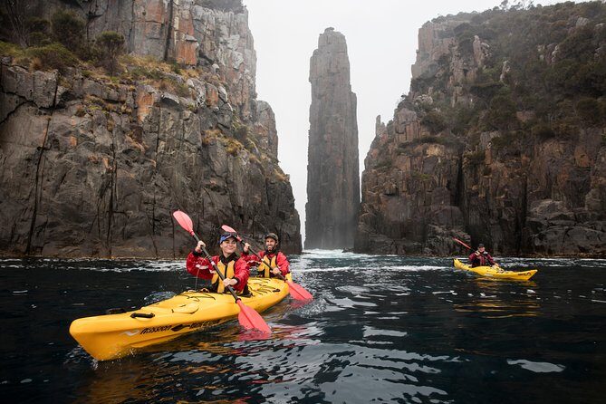 Tasman Peninsula full day kayaking tour - Is It Worth the Price?