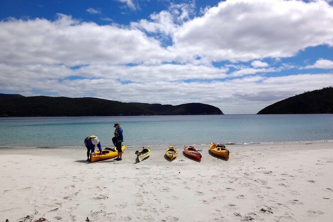 Tasman Peninsula full day kayaking tour - Who Should Consider This Tour?