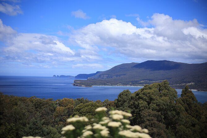 Tasman Peninsula Small-Group Guided Tour From Hobart - What You Can Expect on the Tour